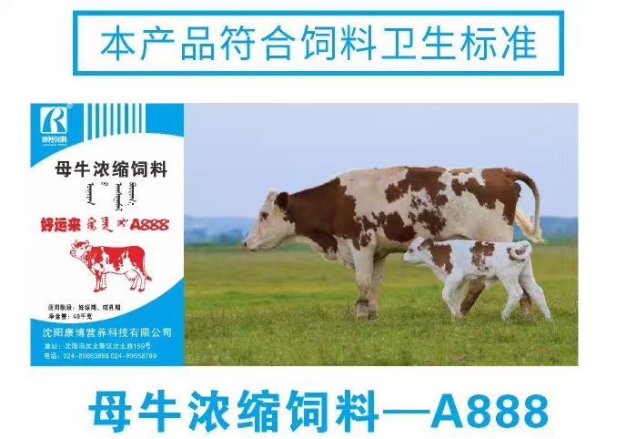 	母牛浓缩饲料-A888 