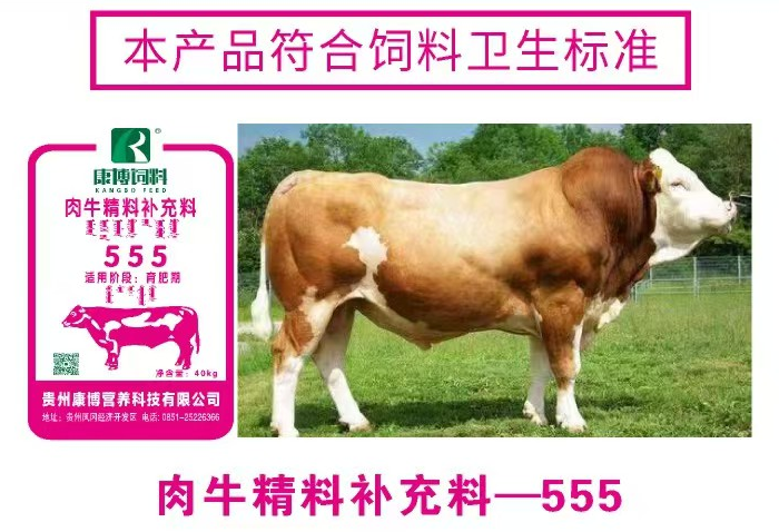 肉牛精料补充料-555 