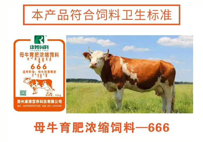母牛育肥浓缩饲料-666 
