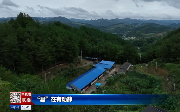 贵州新闻联播丨【“县”在有动静】22亿元的凤冈肉牛产业链