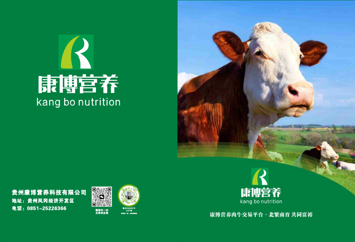 西门塔尔牛简介